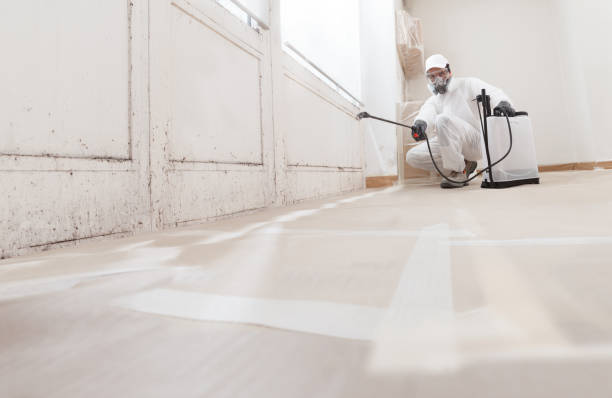 24/7 Emergency Attic Mold Removal experts in Williamsport, PA
